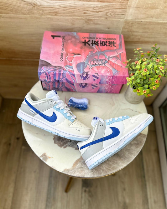 Nike SB Dunk Low โ White & Blue Skateboarding Sneakers